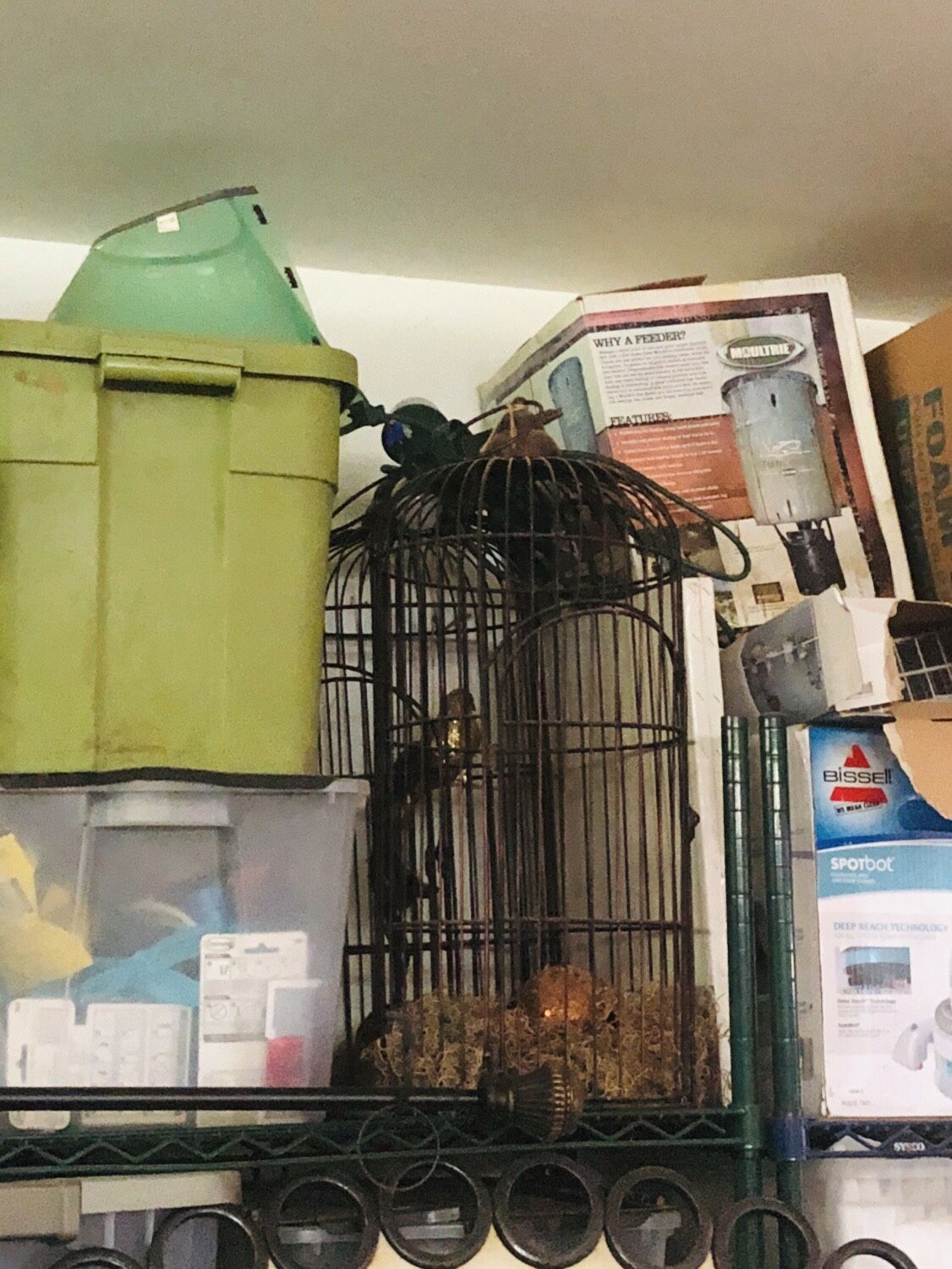Bird cage decor!