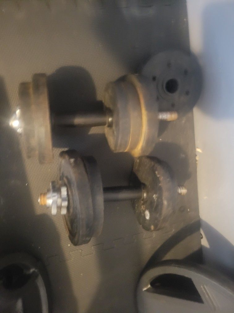 Adjustable Dumbbells