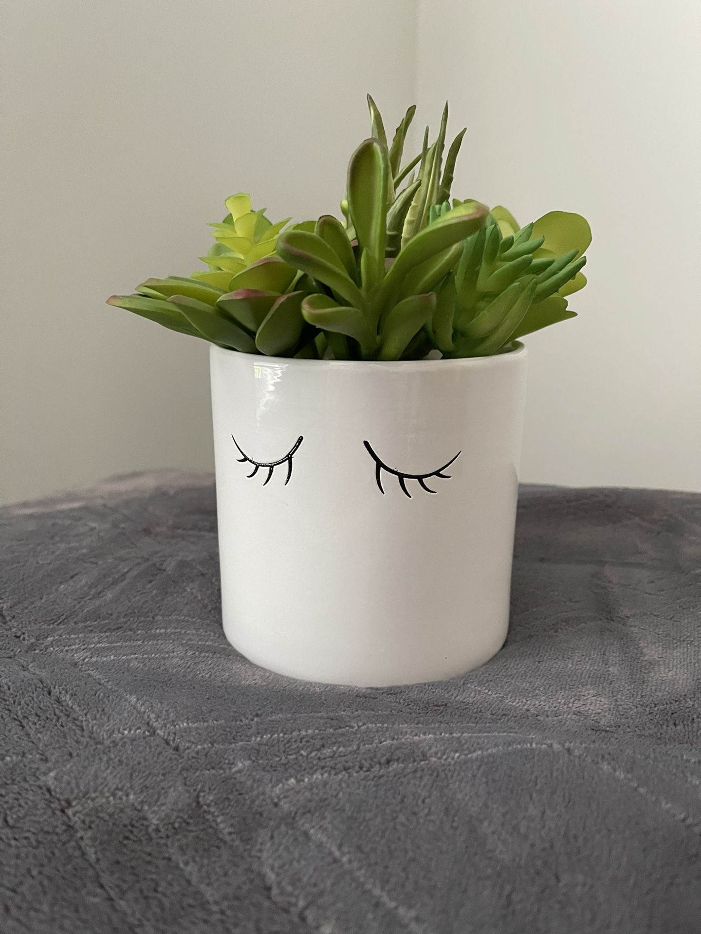 Faux Lash Succulent