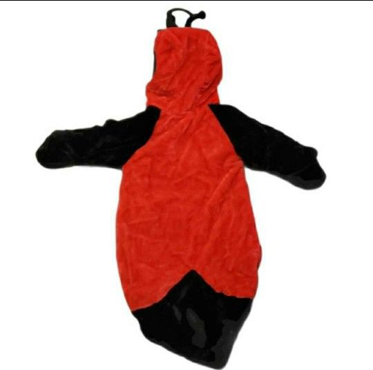 0-3M Ladybug Costume