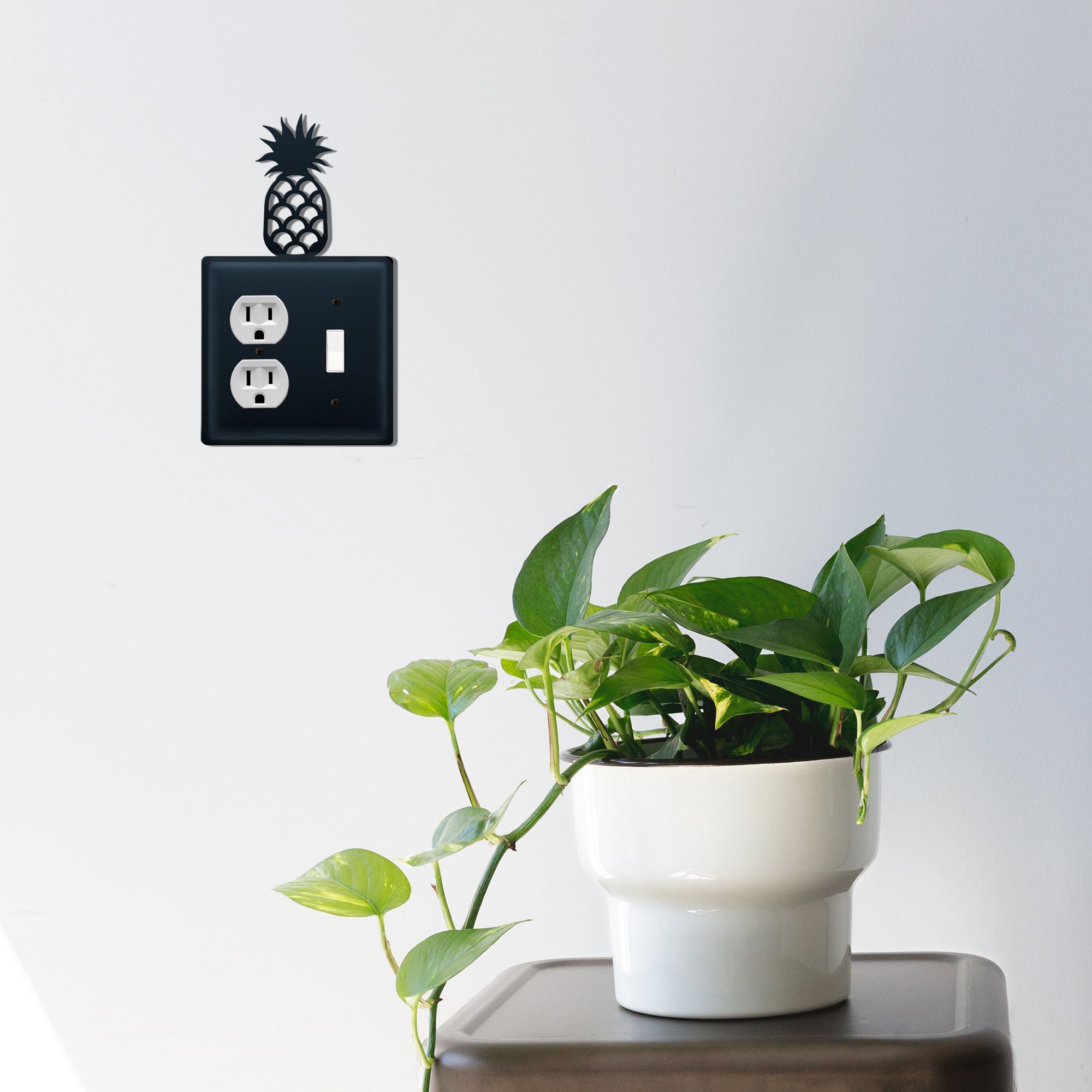 Pineapple Single Outlet and Switch Cove