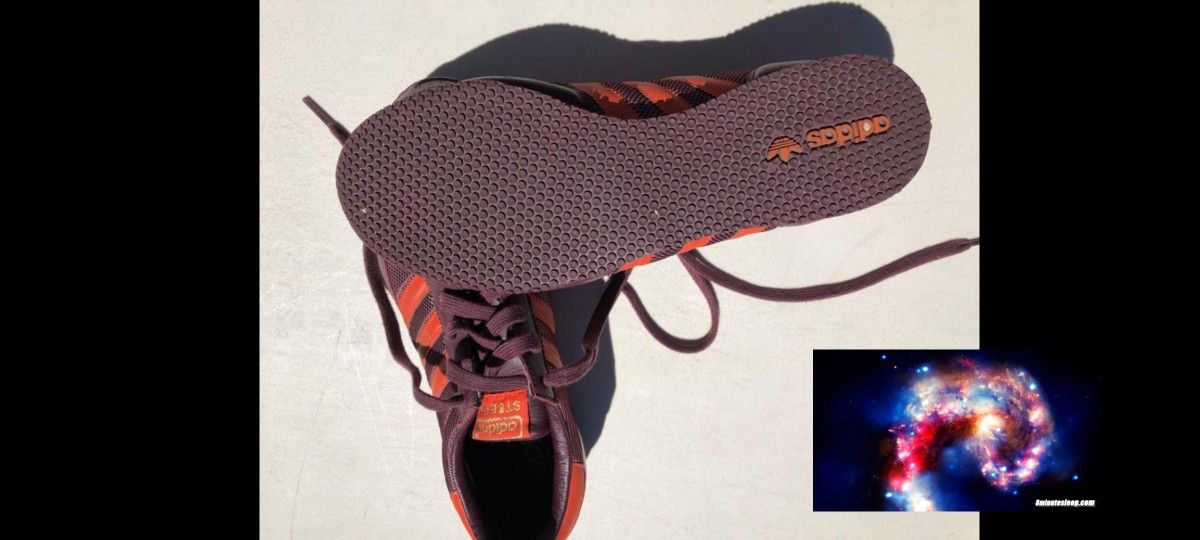 Addidas Steeple Shoe