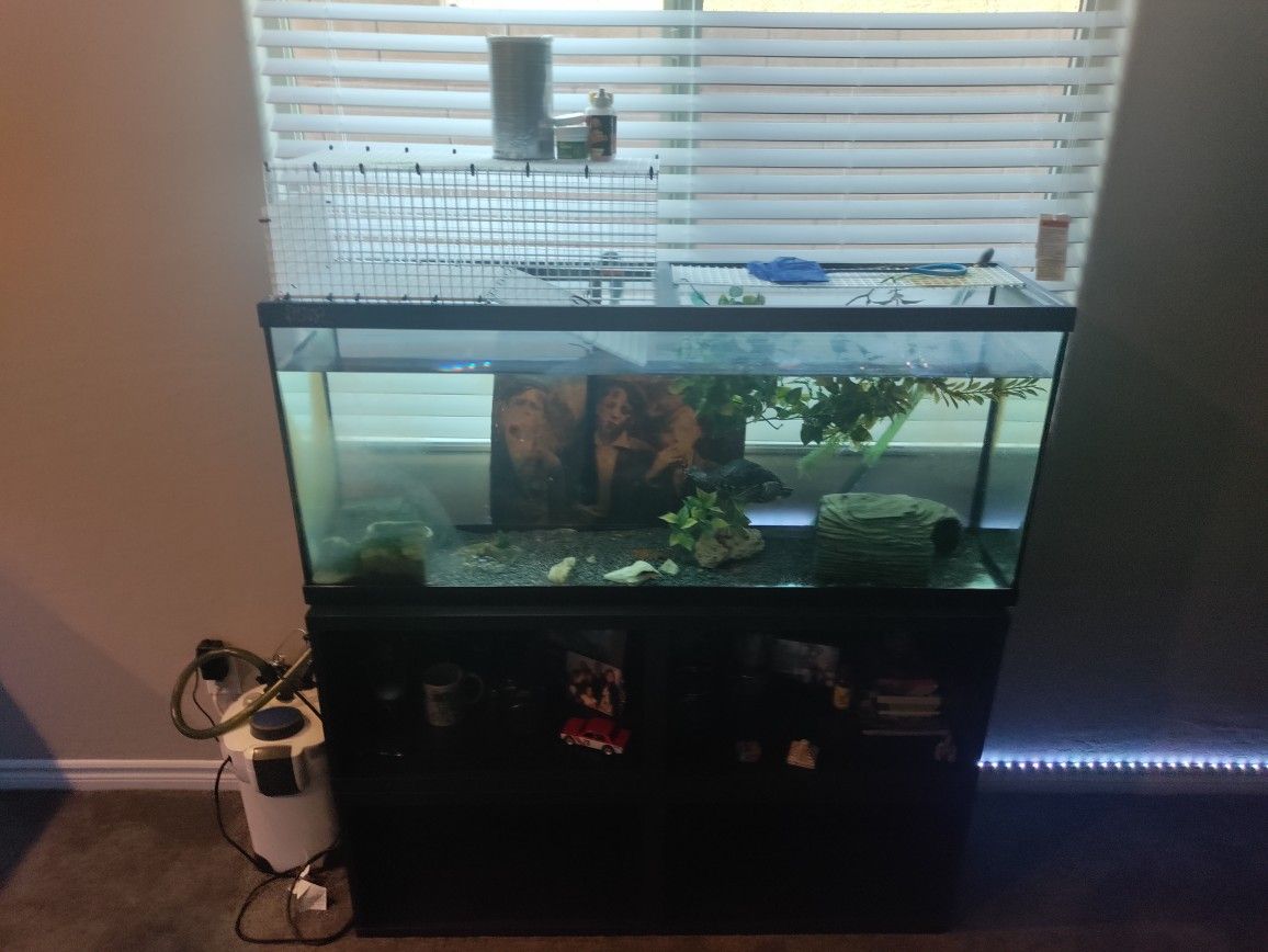 Fish/Turtle Tank + Canister Filter & Decorations