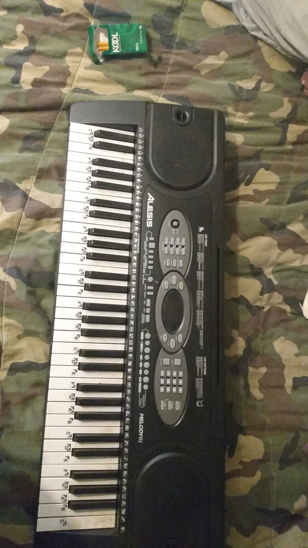 Alesis melody61