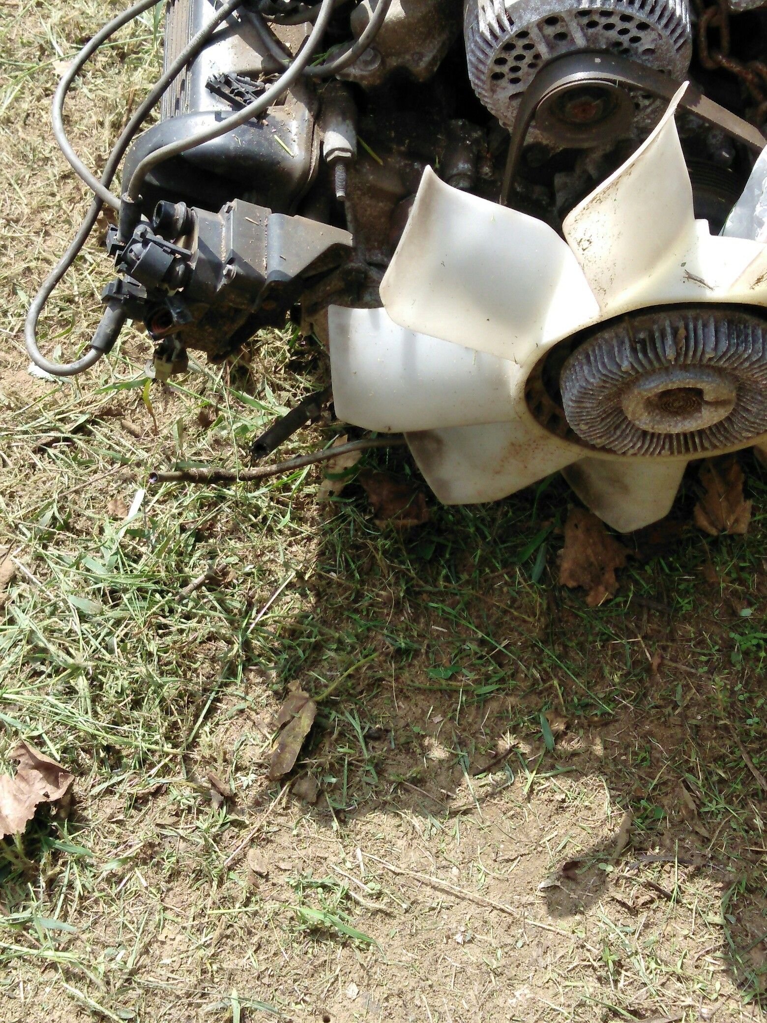 Motor