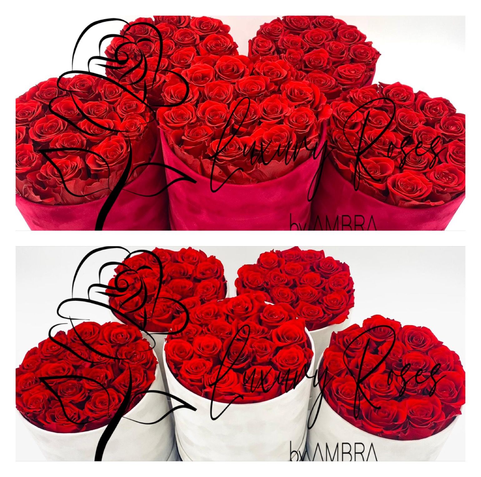 Bundle 3 Eternal Box red Roses Velvet Gift Real Preserved Flowers Bouquet Bucket Anniversary Birthday Present Handmade immortal