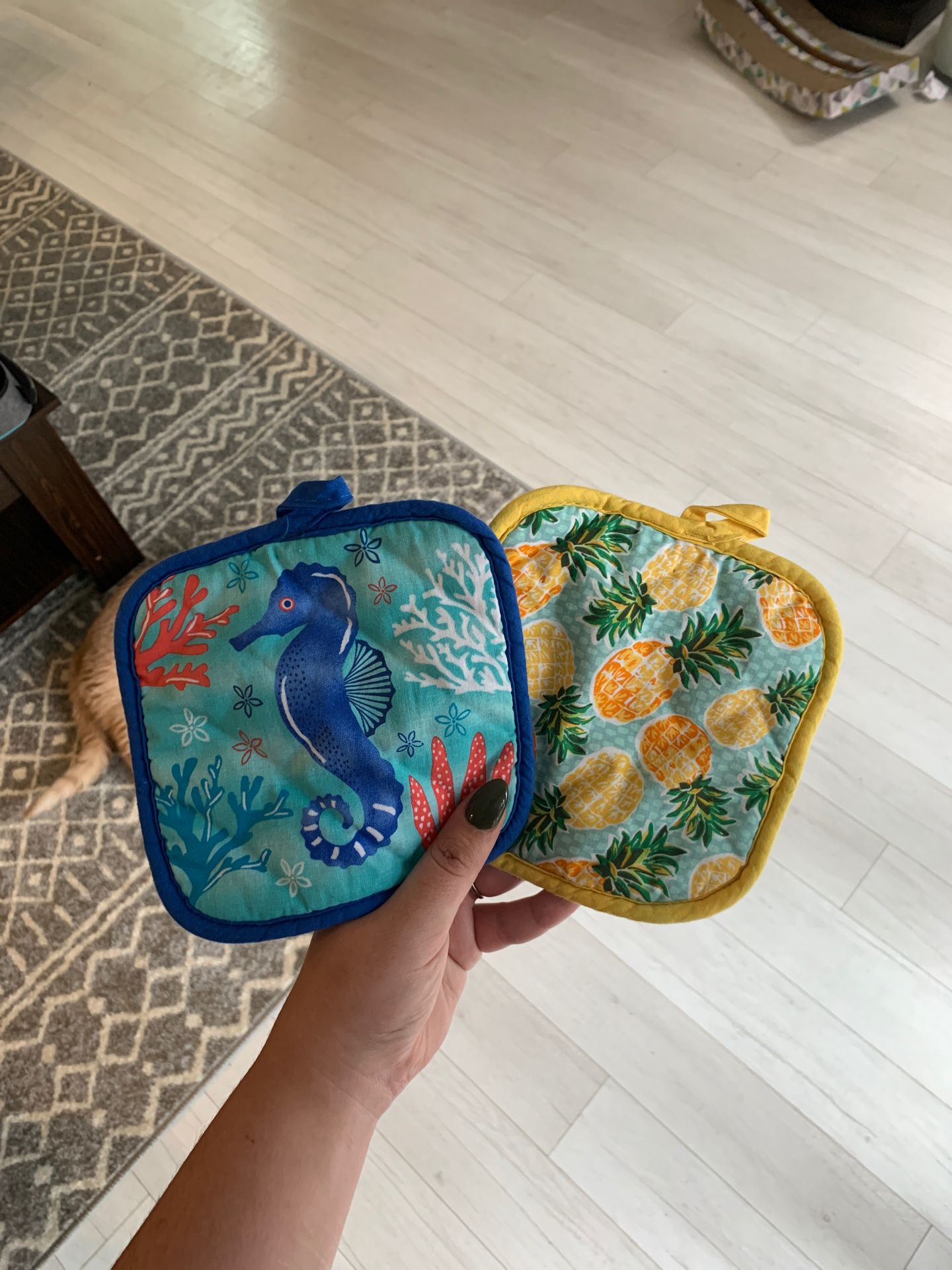 Brand new pot holders