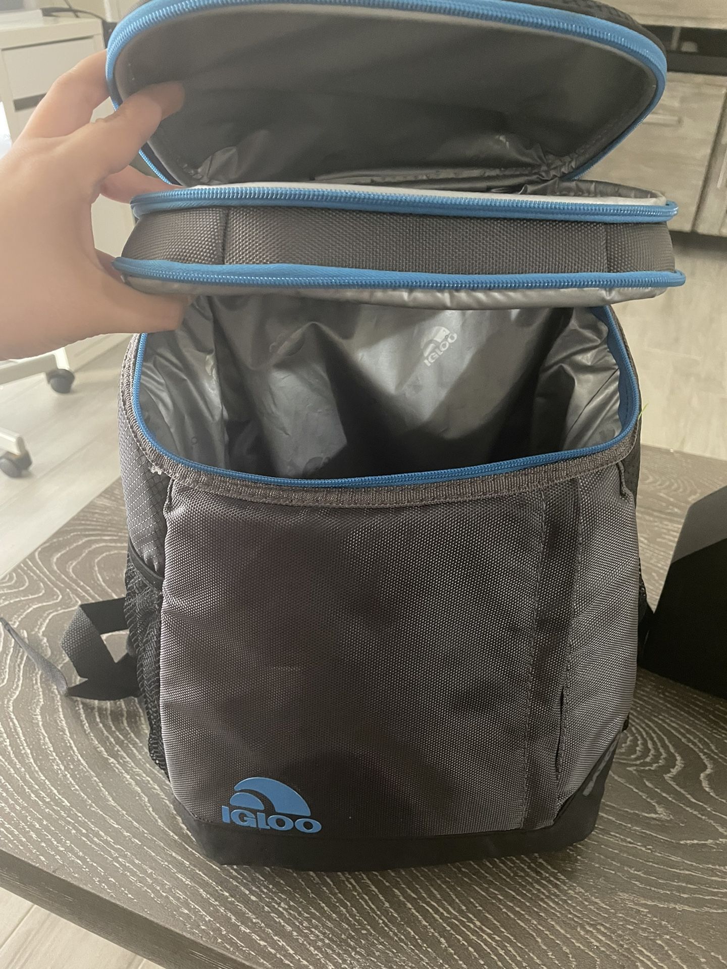 Igloo Cooler Backpack