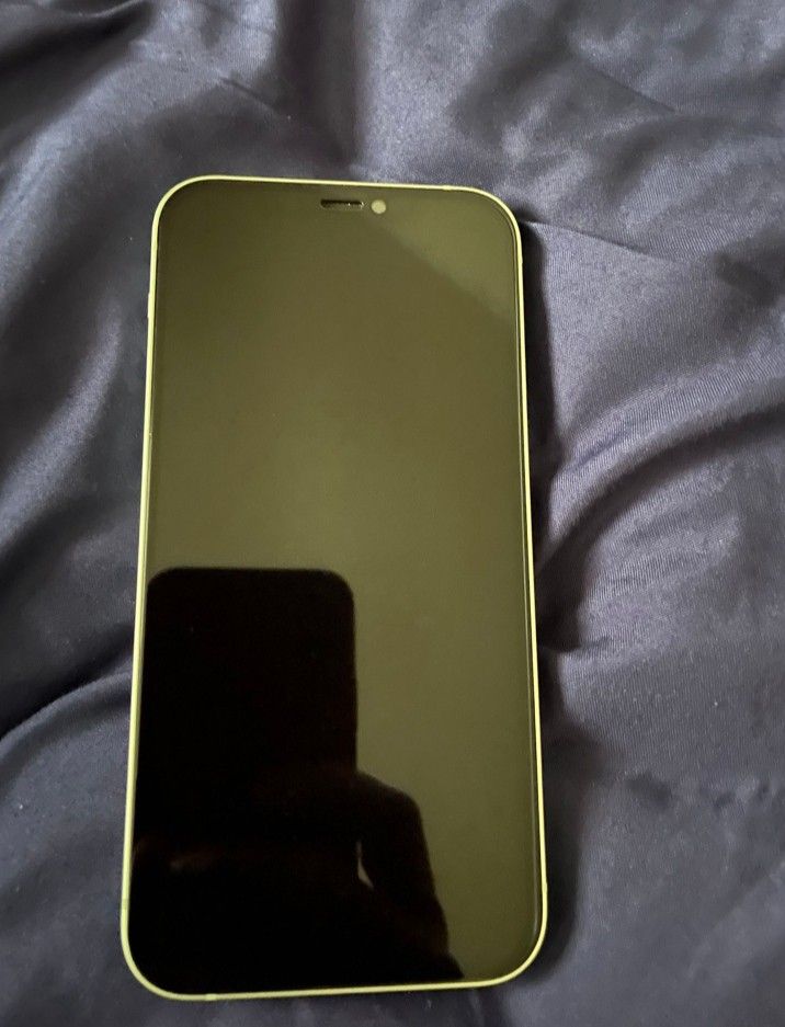 iPhone 12 Mint Green
