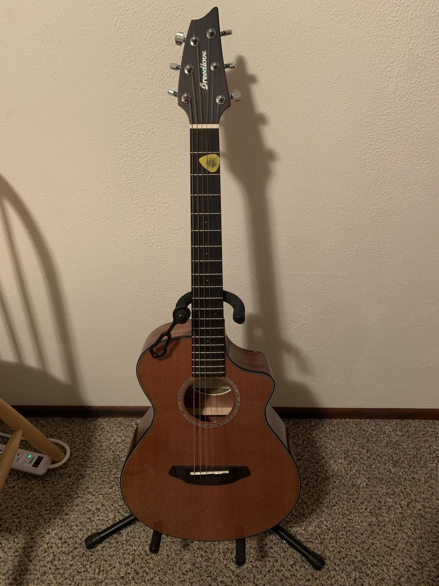 Breedlove Companion Pursuit CE