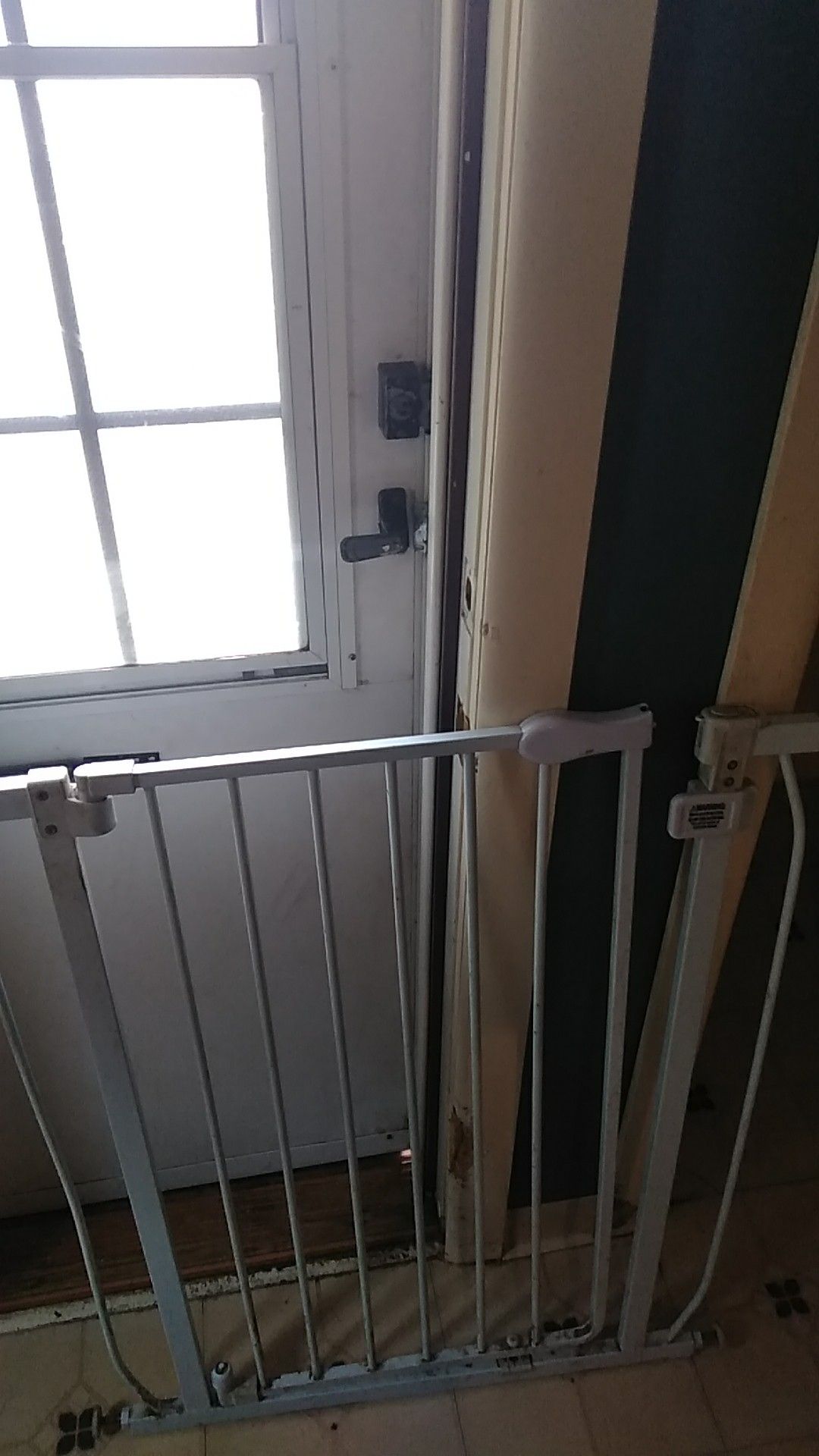 Dog crate and gates