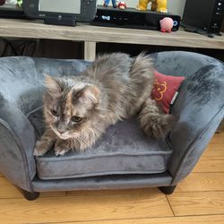 Pet Luxury Couch Lounger for Cat or Small Dog Thumbnail