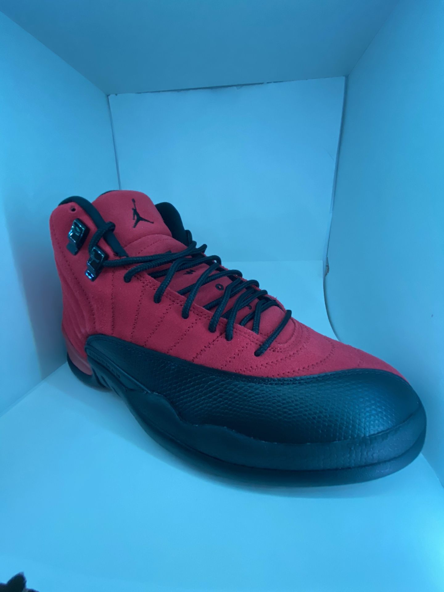 Jordan 12