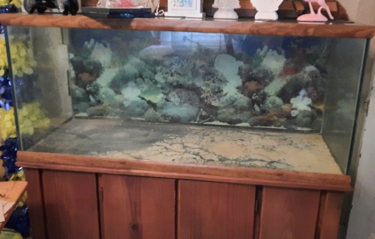 65 Gallon Aquarium