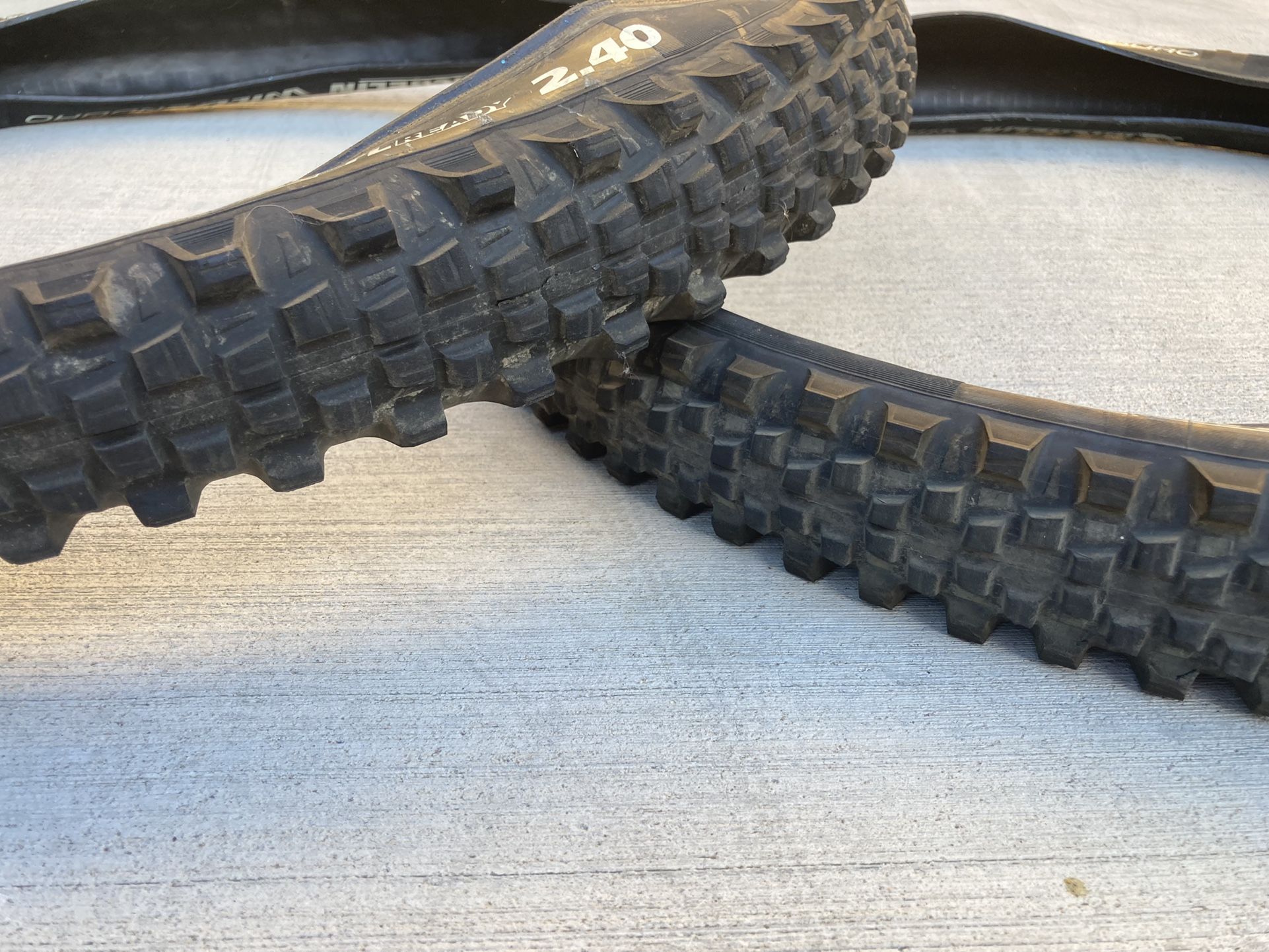 Mountain Bike Tires - Michelin Wild Enduro