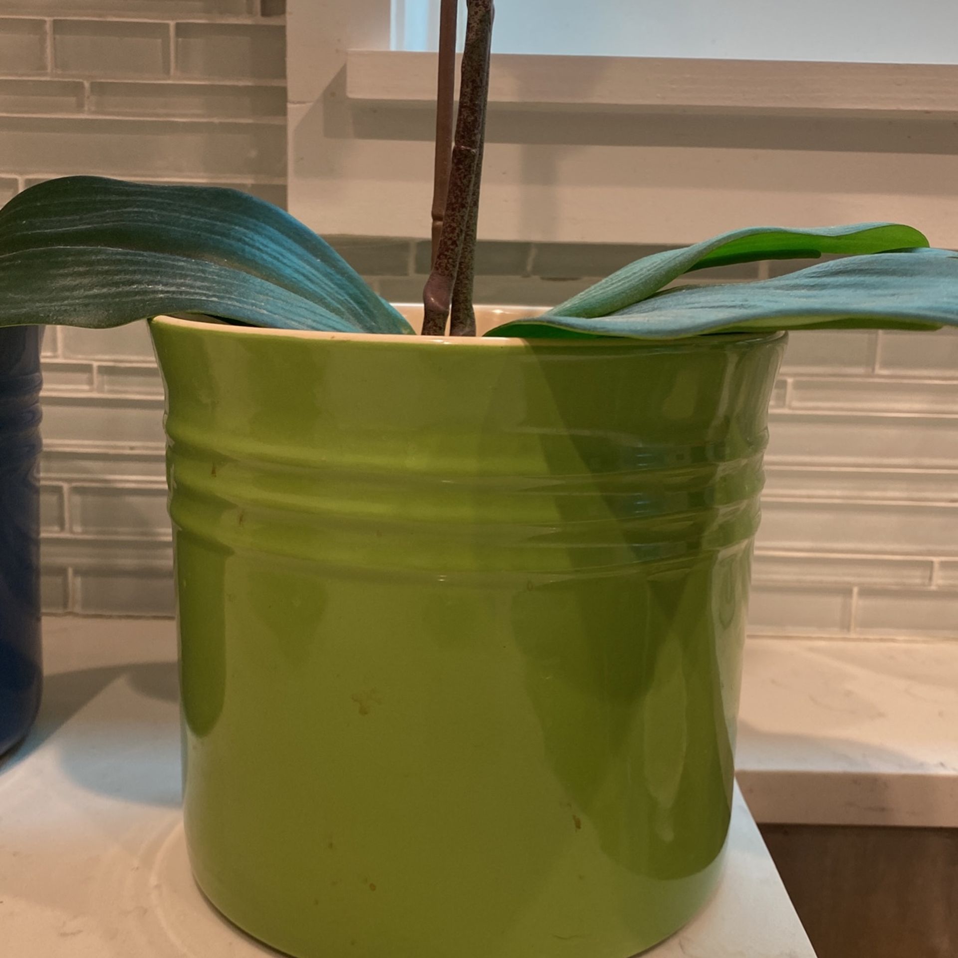 Le Creuset Utensils Crock 3 Pieces