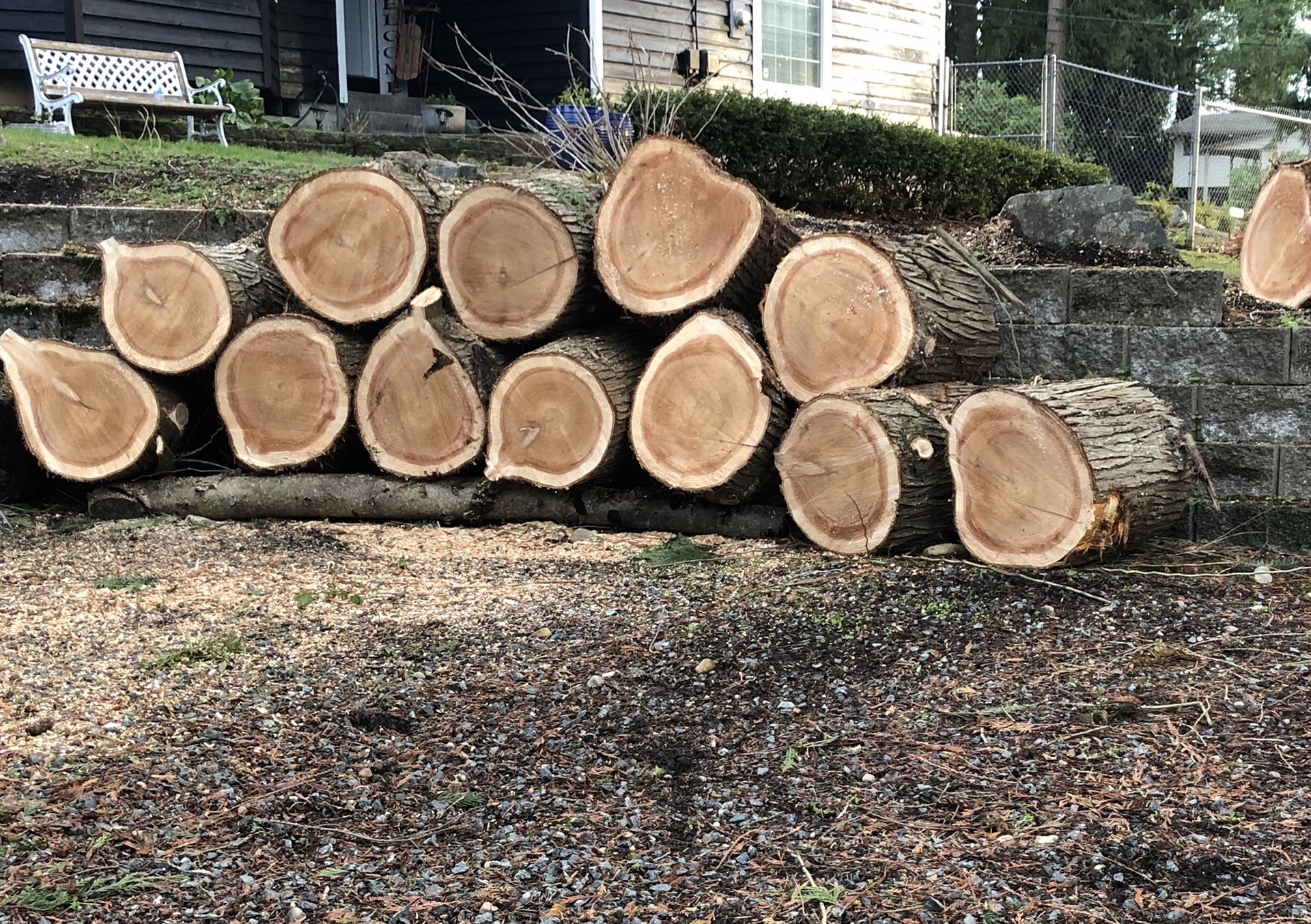 Wood rounds / tree rounds / stumps / firewood for Sale in Bonney Lake