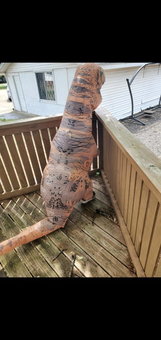 Kids T Rex Costume