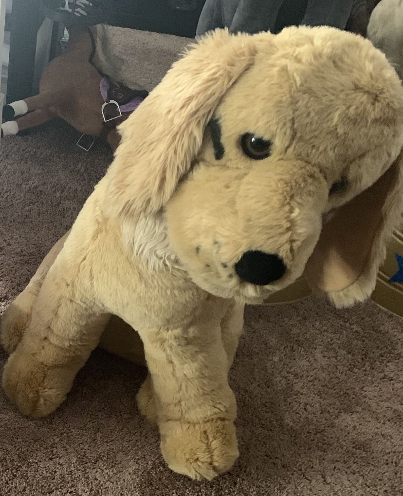 Plush Toy Dog