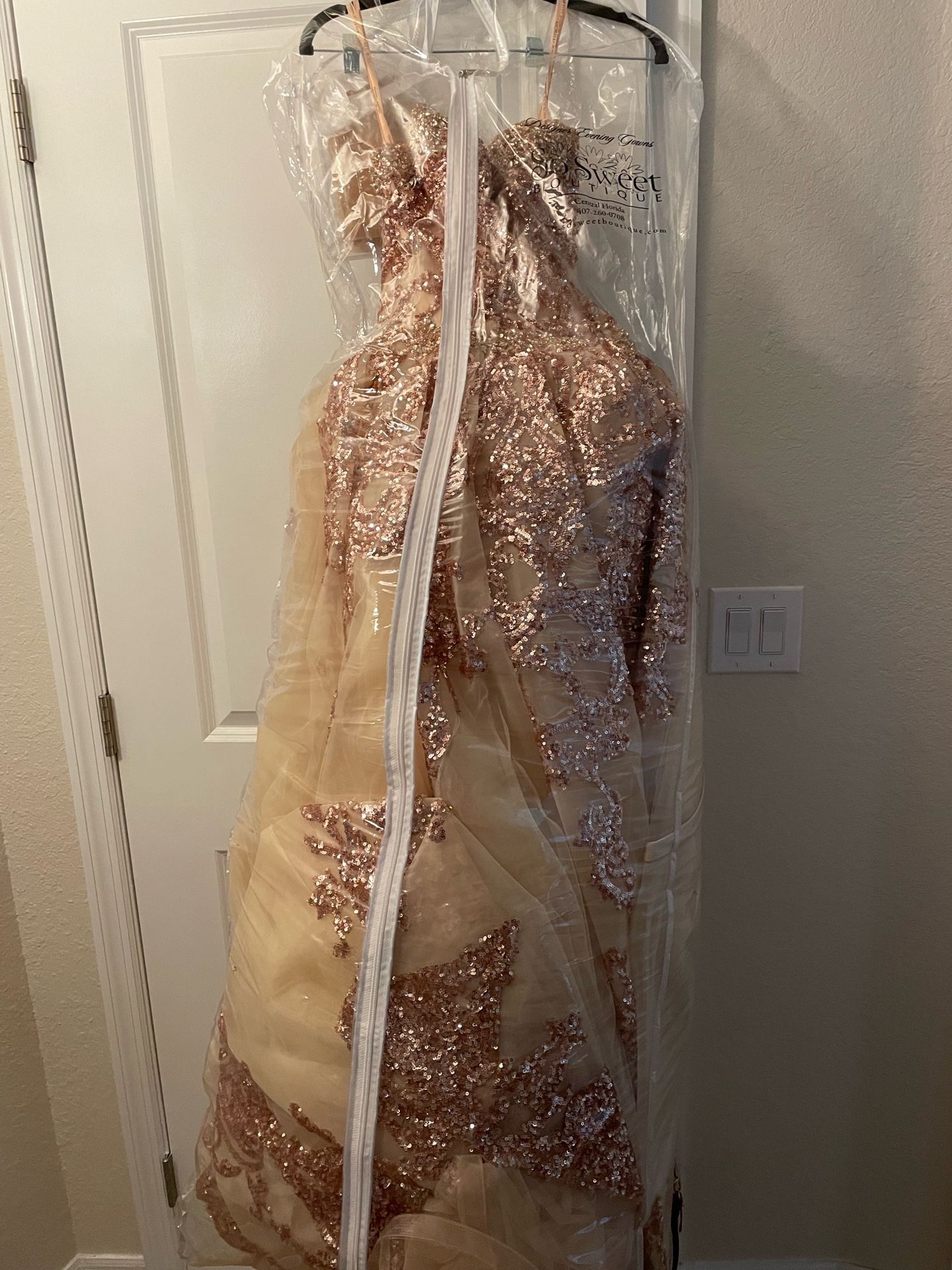 Champagne 15/Quince Dress