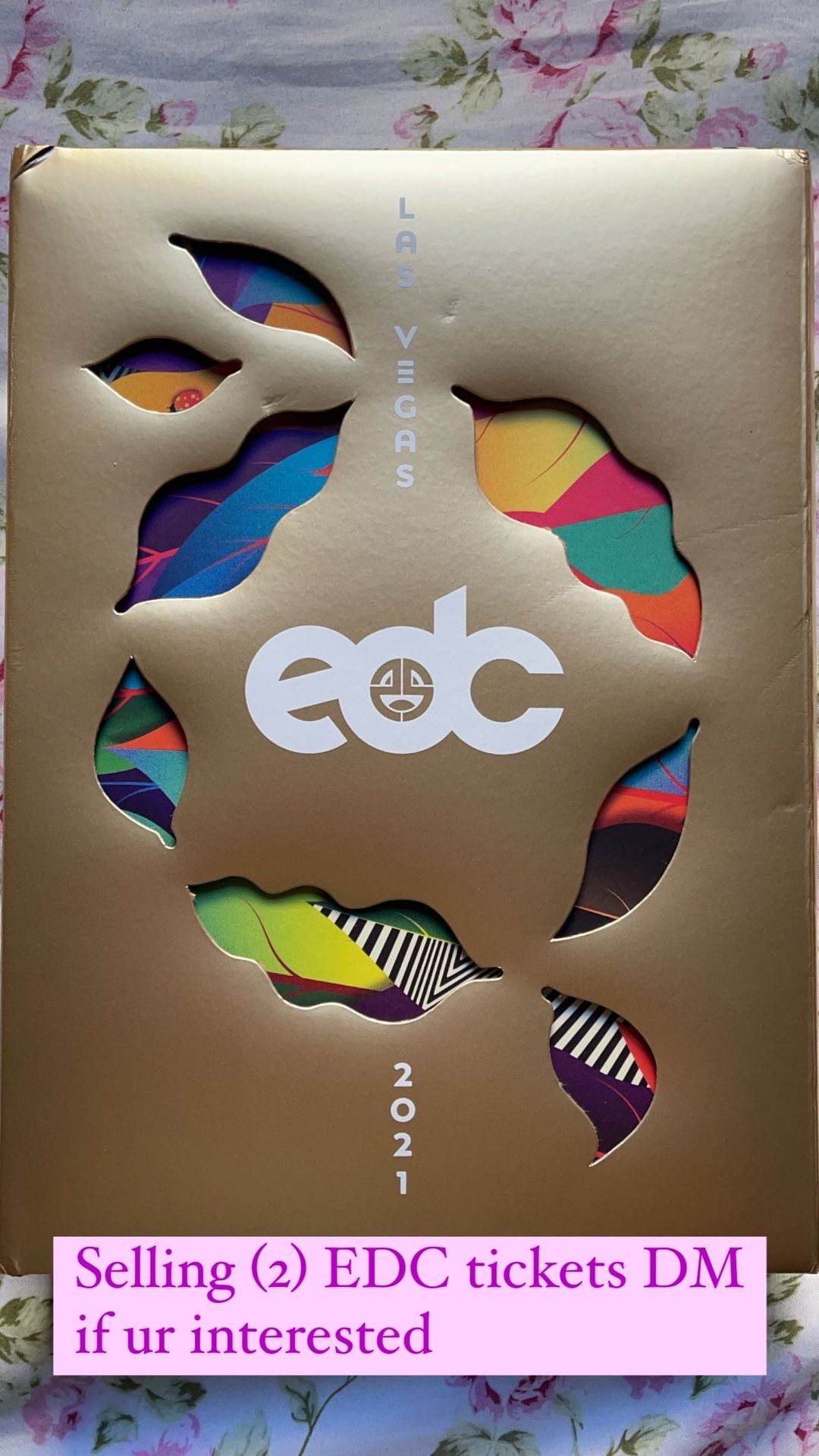 ECDLV Ticket
