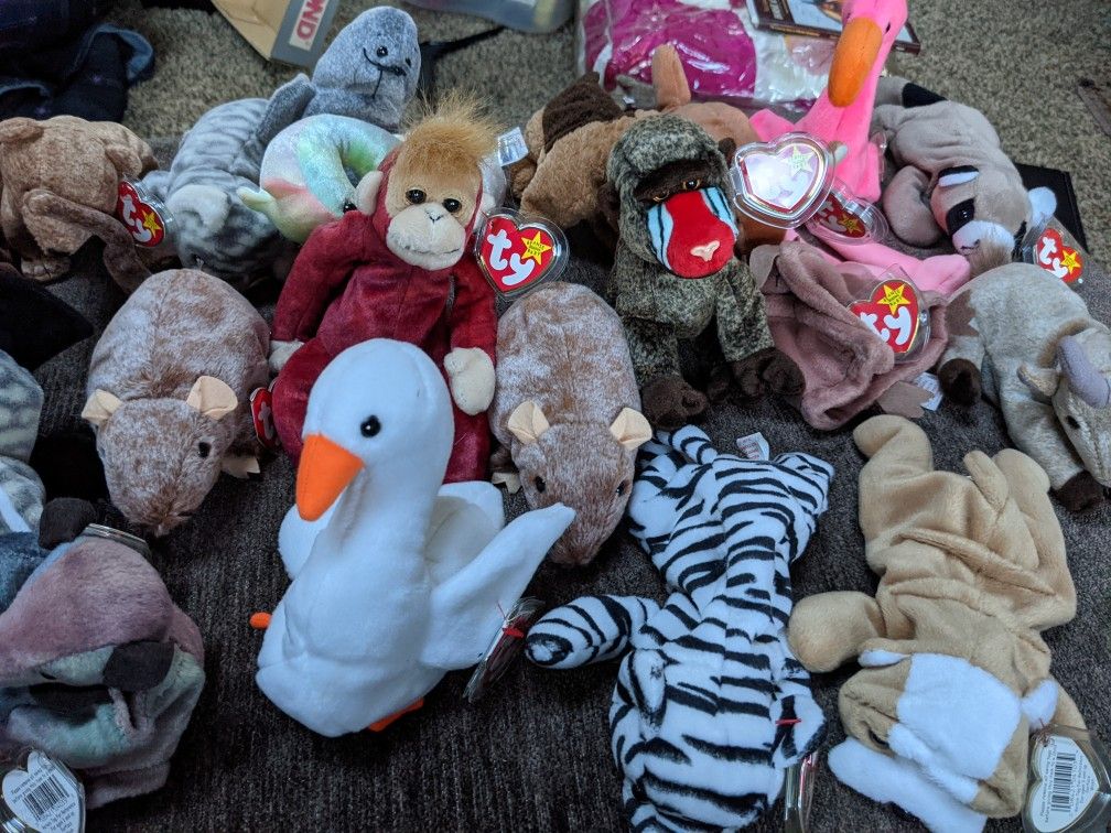 TY Beanie Baby Collection