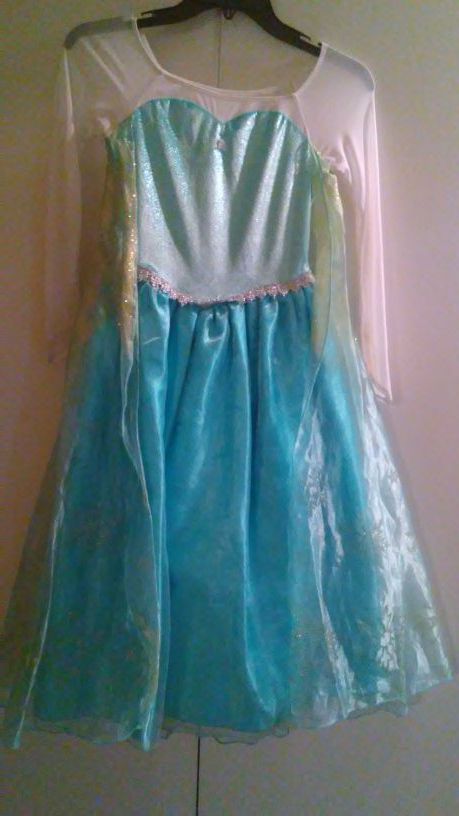 Elsa costume dress