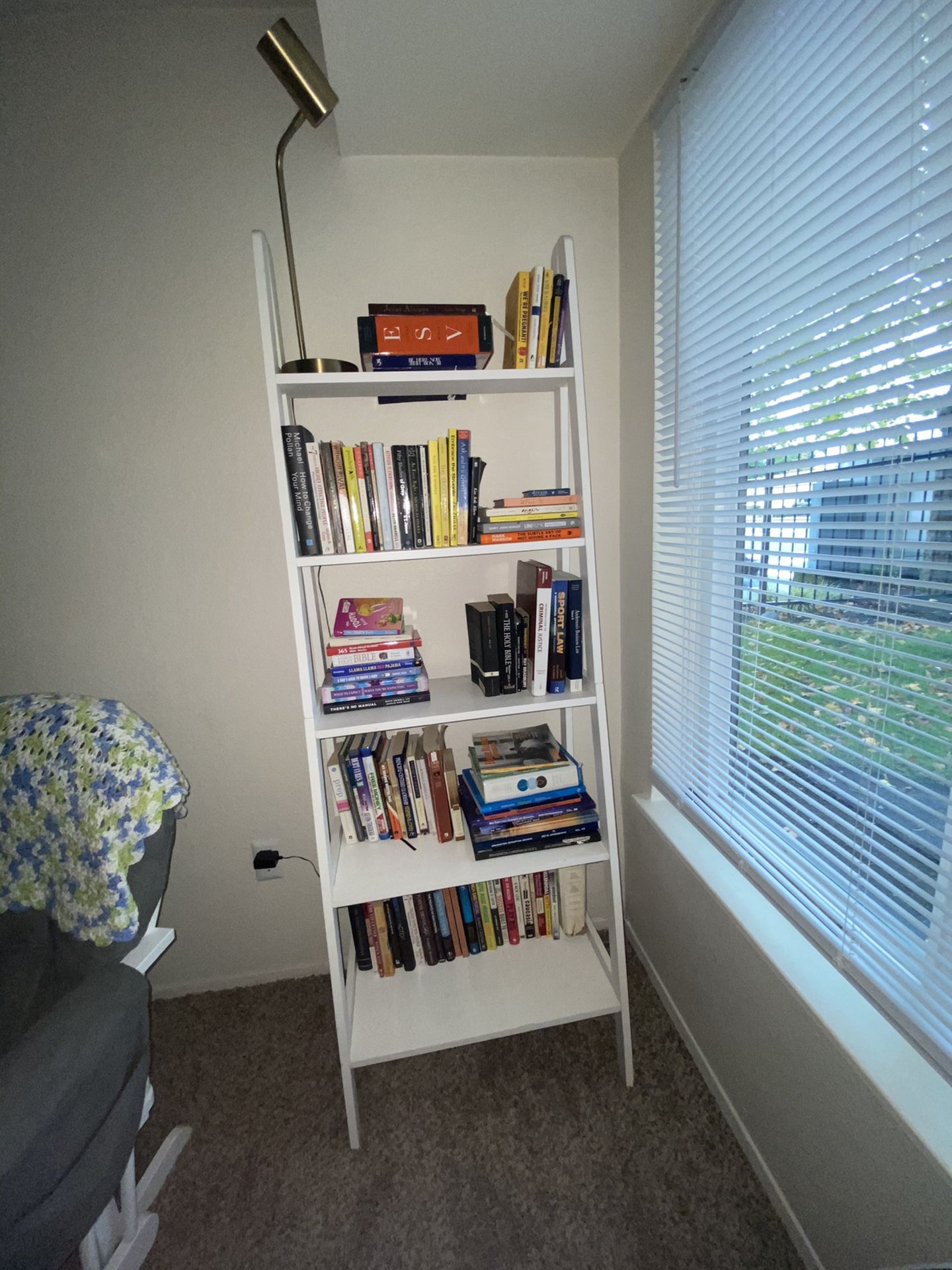 White Ladder Book Shelf