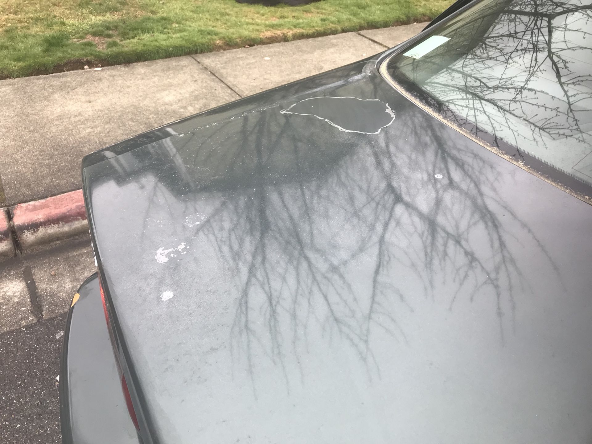1999 Toyota Camry