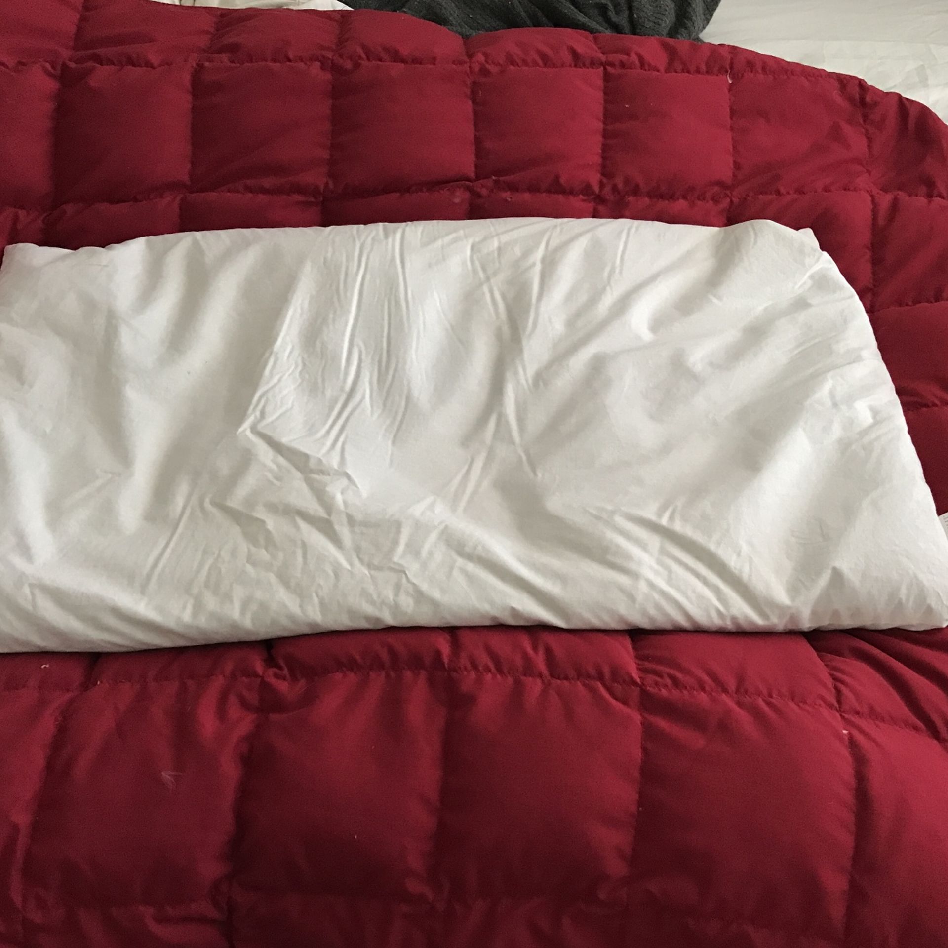 Zen Chi Buckwheat Pillow Queen Size