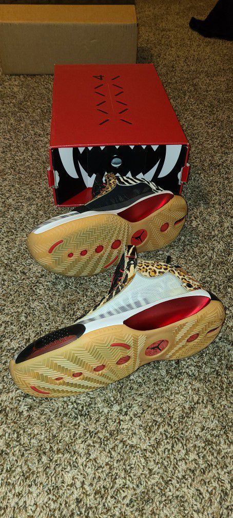 NEW! Nike Air Jordan Zoo