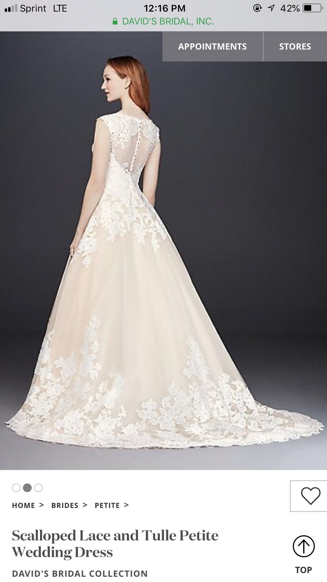 Wedding Dress 2P