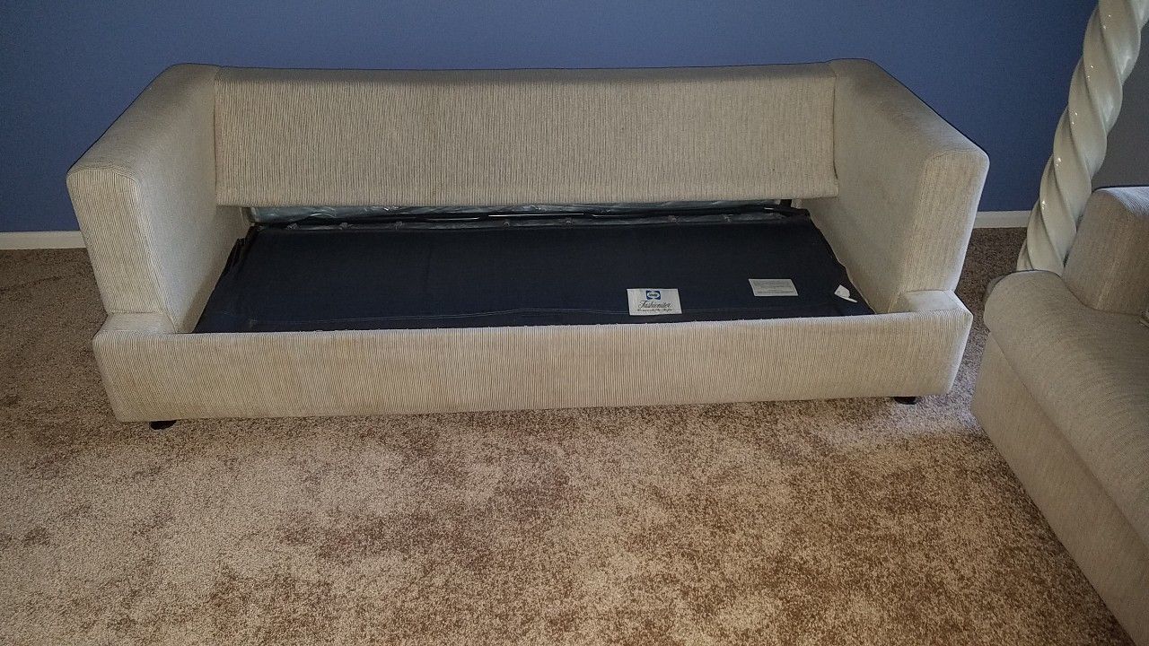 Sleeper Sofa and Love Seat