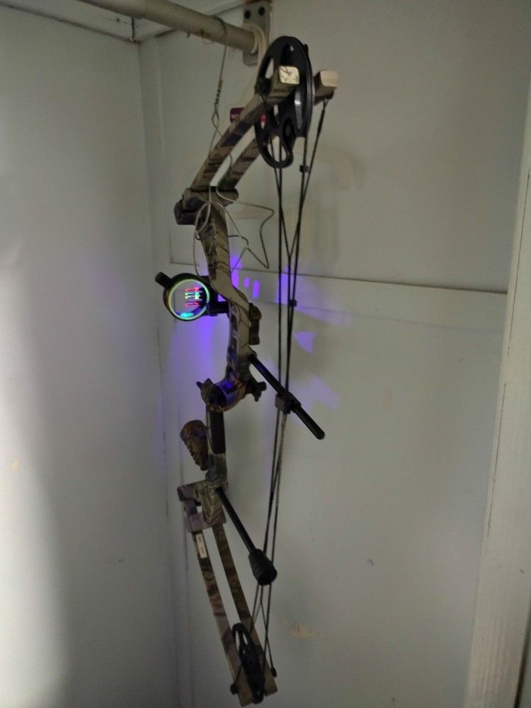 Compound Bow