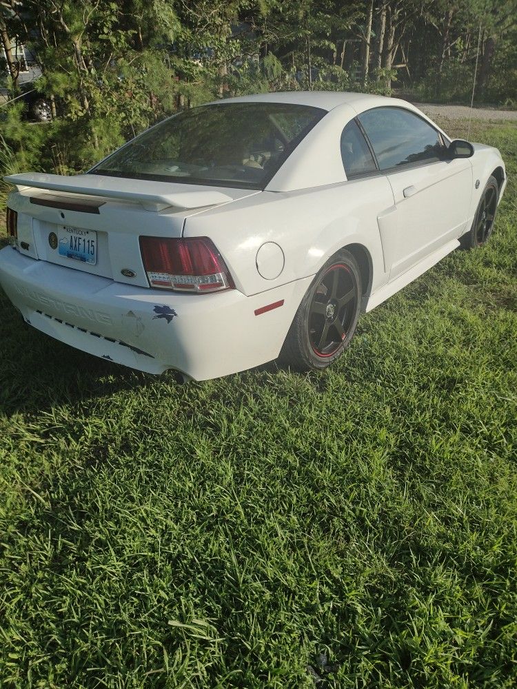 2004 Ford Mustang