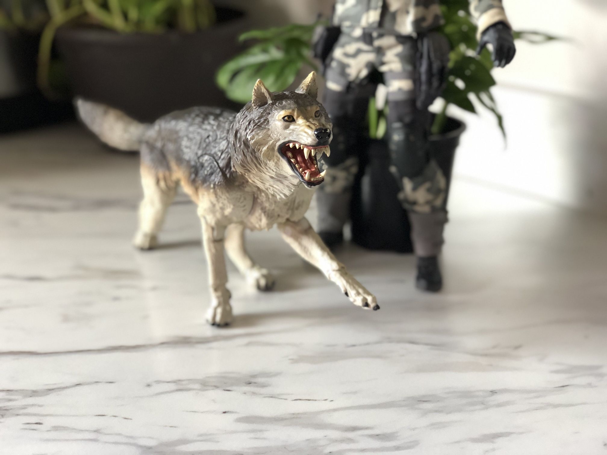 Sideshow Collectibles Exclusive 1/6 Scale Snake Eyes Timer Wolf Action Figure