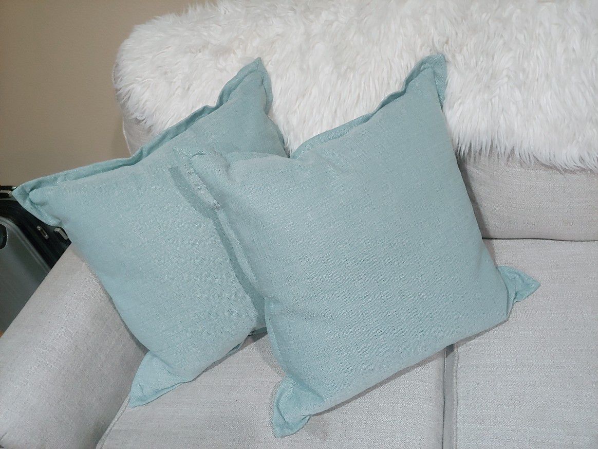 Couch Pillows (2)