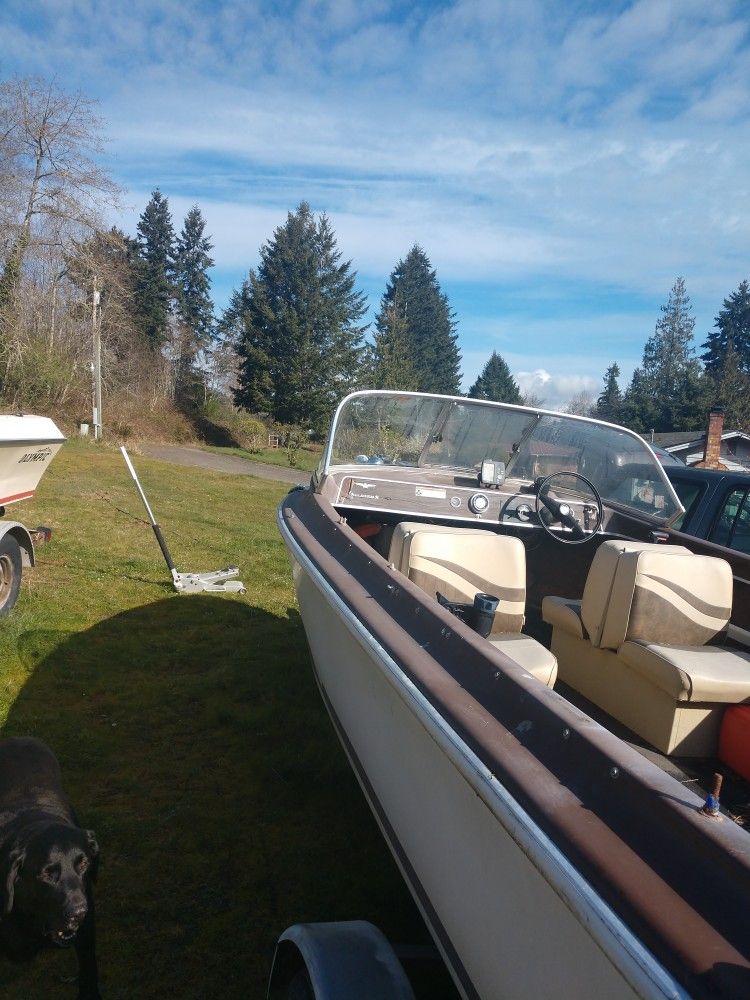 19' Larson Boat And Trailer No Motors