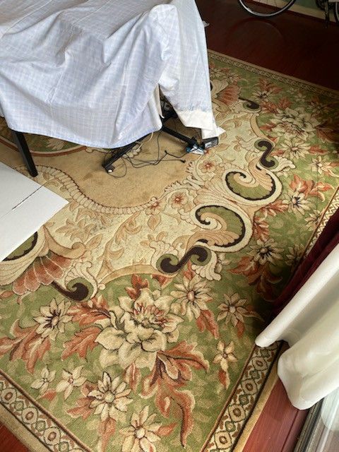 Persian Rug Like New