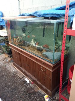120 Gallon Fish Tank Aquarium With Stand And More Thumbnail