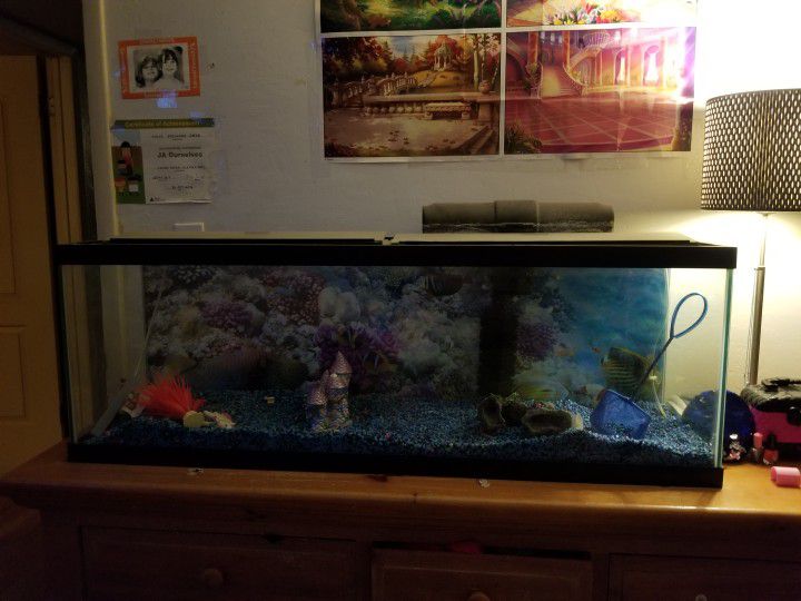 Fish Tank Aquarium 55 Gallon 