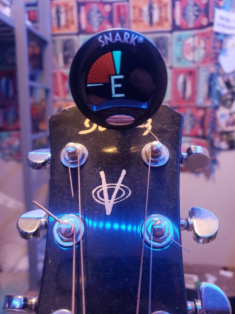 Guitar Set