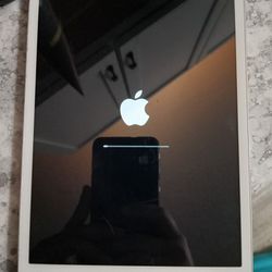 Apple iPad Mini First Generation  Thumbnail