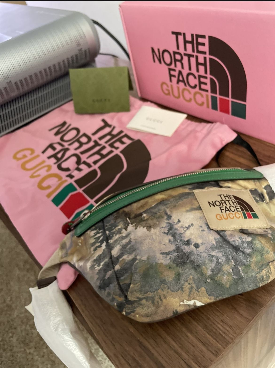 Gucci Belt Bag/The Northface