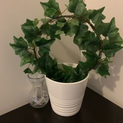 Plant With Pot  Thumbnail