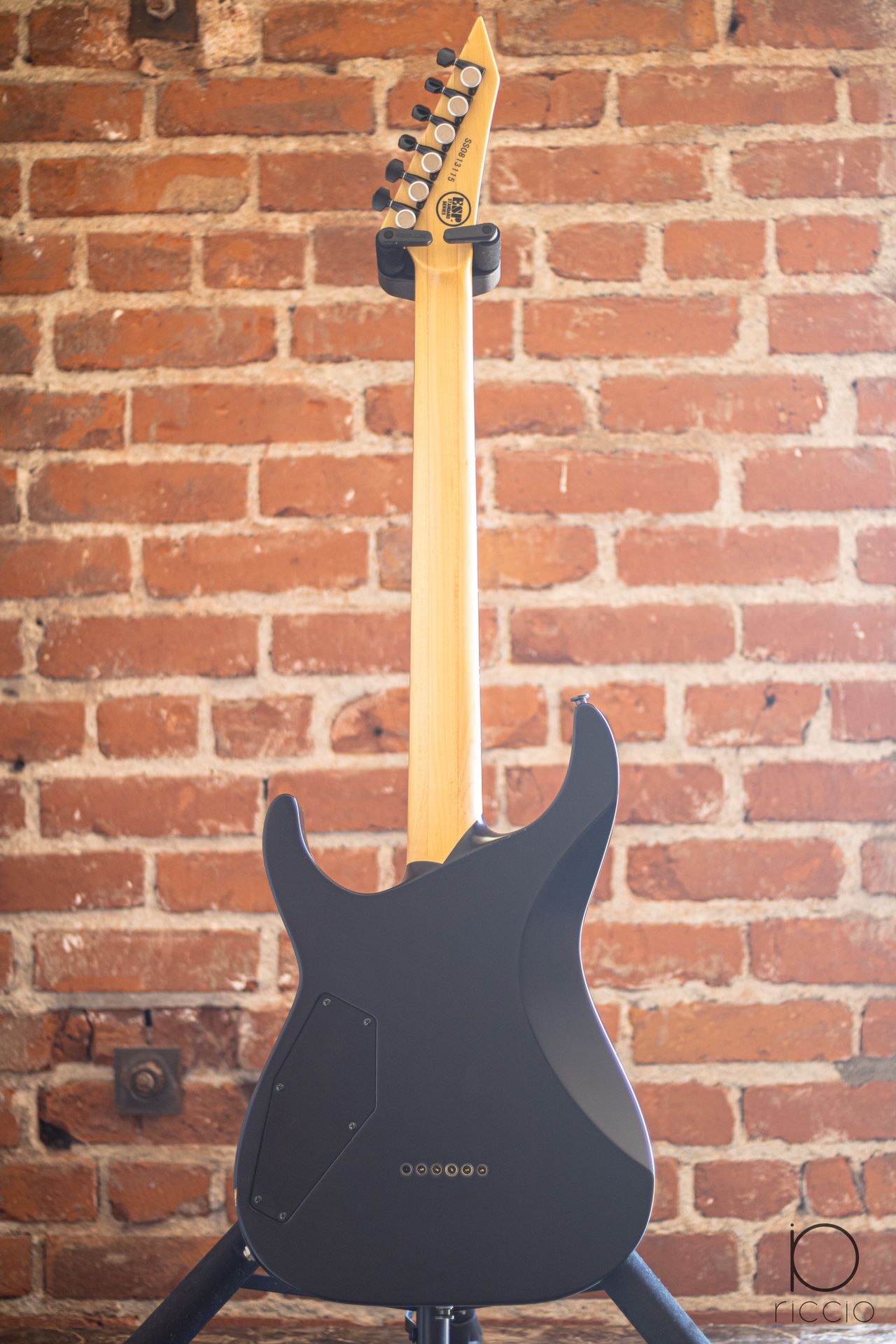 ESP Standard Series M-I NTB | electric guitar