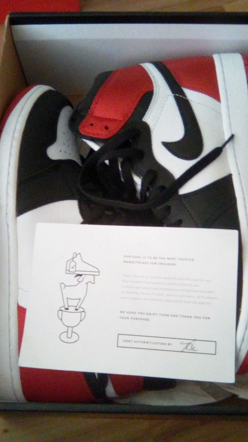 Satin Jordan 1s