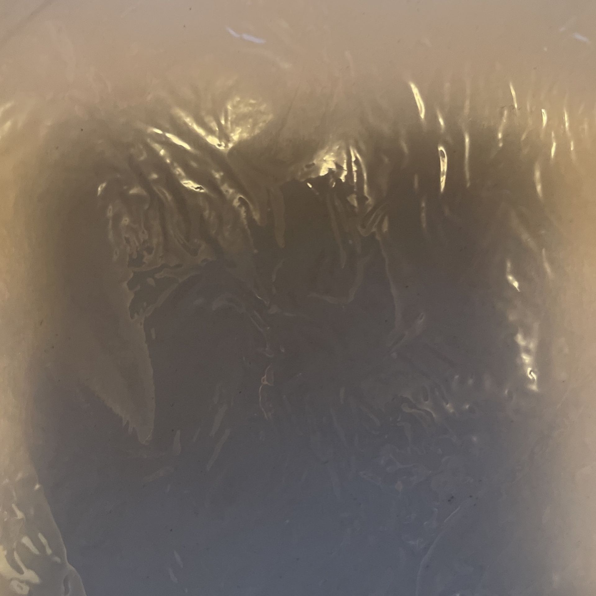 Blank Tattoo Skin Brand New 3 0cs
