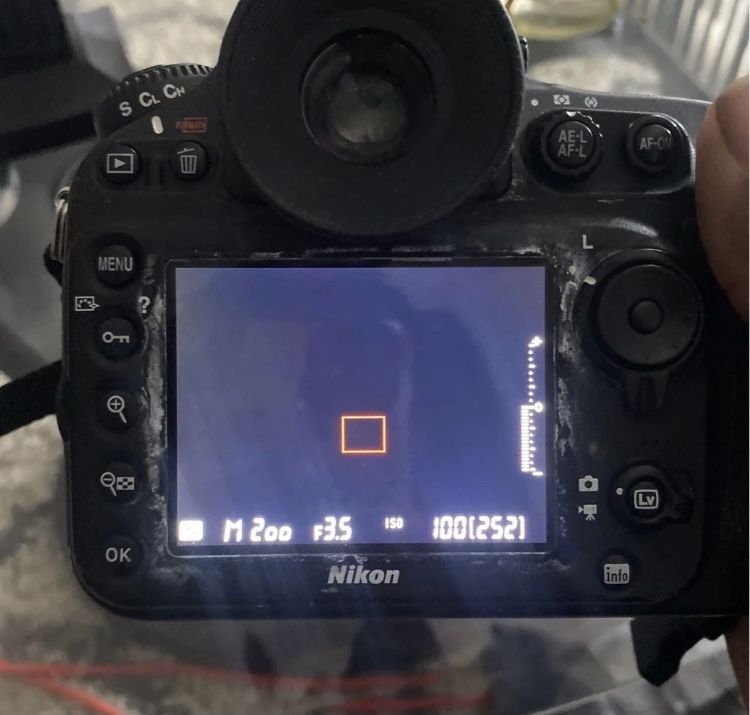 Nikon d800