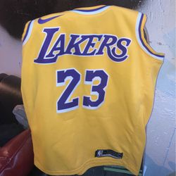 Lebron James Jersey  (Lakers) Thumbnail